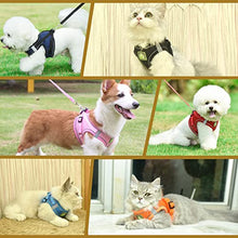Load image into Gallery viewer, Cat Harness and Lead Set for Kitten: Escape Proof Mesh Vest with Leash for Small Cat Tiny Puppy Walking, Adjustable Reflective Padded Kitty Holster Harnesses with Nylon Strap for Garden, Black, XS