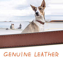 Load image into Gallery viewer, Adjustable Genuine Soft Leather Dog Collar of Padded Best for Small Medium Large Breed Dogs(M, Brown)