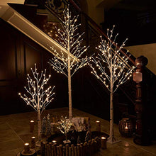 Load image into Gallery viewer, Hairui Pre Lit White Birch Tree 4FT 72 LED for Easter Christmas Holiday Party Festival Decorations Plug in