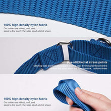 Load image into Gallery viewer, Dazzber Martingale Collars for Dogs Adjustable Durable Dog Collar Solid Color Nylon Dog Collars for Large/Medium/Small Dogs (Extra Small (Pack of 1), Royal Blue)