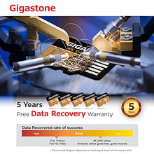 Load image into Gallery viewer, Gigastone 256GB Micro SD Card with SD Adapter + Mini-case, 4K UHD Game Turbo, Nintendo-Switch Compatible, Read/Write 100/60 MB/s, A2 App Performance, UHS-I U3 C10 Class 10 Memory Card
