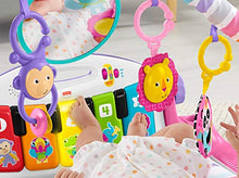 Load image into Gallery viewer, Fisher-Price Deluxe Kick & Play Piano Gym, play mat and activity toys with lights, music, and learning content for infants
