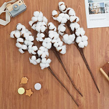 Load image into Gallery viewer, Ruiuzioong Natural Dried Cotton Stem Farmhouse Artificial Flower Filler Floral Arrangement DIY Home Party Decor (20pcs pack)