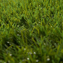 Load image into Gallery viewer, Fake Grass