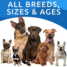 Load image into Gallery viewer, Allergy Relief Dog Treats - Omega 3 + Pumpkin + Enzymes - Itchy Skin Relief - Seasonal Allergies - Anti-Itch & Hot Spots - Immune Supplement - Made in USA - Chicken Flavor Soft Chews