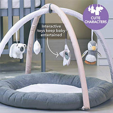 Load image into Gallery viewer, Nuby Penguin Baby Play Gym, with Padded Activity Play Mat Base, Grey