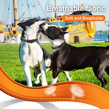 Load image into Gallery viewer, PcEoTllar Padded Dog Collar with Tag Reflective Adjustable Dogs Collars Soft Nylon Neoprene Super Light Breathable for Small Medium Large Dogs - Orange M