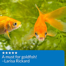 Load image into Gallery viewer, API GOLDFISH AQUARIUM CLEANER Aquarium Cleaner 118 ml Bottle