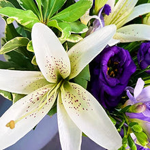 Load image into Gallery viewer, Purple Wishes Bouquet, Beautiful Fresh Flowers with Free Delivery, Perfect for Birthdays, Anniversaries and Thank You Gifts