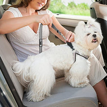 Load image into Gallery viewer, Headrest Dog Car Seat Belt Adjustable with Elastic Bungee Buffer Durable Headrest Pet Seat Belt Dog Car Safety Harness Restraint (Grey)