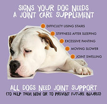 Load image into Gallery viewer, Taré Pets Advanced Joint Supplements for Dogs | For Pups and Seniors | MSM Chondroitin & Glucosamine for Dogs | Ecologically Made
