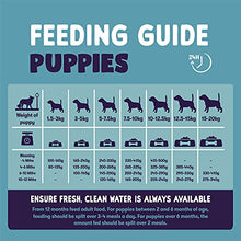 Load image into Gallery viewer, Burgess Sensitive Dry Puppy Food Rich in Turkey, 12.5 kg