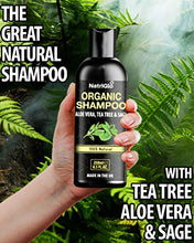 Load image into Gallery viewer, NatriGlo Anti Dandruff Tea Tree & Aloe Vera Shampoo - Sulfate & SLS Free for Itchy Scalp, Dry, Flaky Hair | Psoriasis & Eczema Care |Deep Cleansing Organic, Vegan, Cruelty Free | Women | Men |Teens