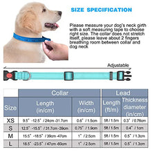 Load image into Gallery viewer, haapaw Reflective Dog Collar Padded with Soft Neoprene Breathable Adjustable Nylon Dog Collars for Small Medium Large Dogs