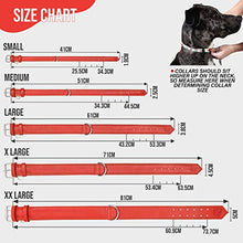 Load image into Gallery viewer, Riparo Genuine Leather Padded Dog Heavy Duty K-9 Adjustable Collar (L: 3.8CM Wide for 45.7CM - 53.3CM Neck, Red)