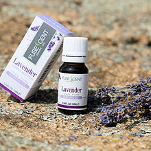 Load image into Gallery viewer, Fuse Scent Lavender Essential Oil - 100% Pure & Natural – Scented Oil, UNDILUTED, Premium – Perfect for Aromatherapy, Relaxation & More! – 10ml