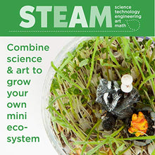 Load image into Gallery viewer, Creativity for Kids Grow 'N Glow Terrarium Kit - Art and Craft Gift Educational Science Project Activities for Kids