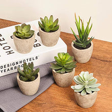 Load image into Gallery viewer, PRIMAISON Artificial Succulents Plants Potted Set-Decorative Fake Succulent Plant Faux Plastic Plant Indoor &Outdoor for House Office Desk Bathroom Kitchen DIY Decor Gift Set of 6