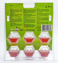 Load image into Gallery viewer, Beapco 10036 Pre-Filled Fruit Fly Trap, Pack of 6, Clear, 20 in