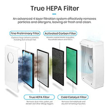 Load image into Gallery viewer, Air Purifier for Dust Mites
