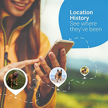 Load image into Gallery viewer, Tractive GPS DOG 4. Dog Tracker. Always know where your dog is. Keep them fit with Activity Monitoring. Unlimited range. (Snow)