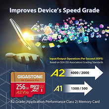Load image into Gallery viewer, Gigastone Micro SD Card 256GB with SD Adapter + Mini-case, 4K Camera Pro, 4K UHD Video Recording, GoPro SD card Action Camera Compatible, R/W up to 100/60MB/s, MicroSDXC UHS-I A2 V30 U3 Class 10