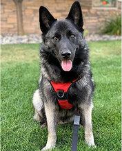 Load image into Gallery viewer, rabbitgoo Large No-Pull Dog Harness Adjustable Outdoor Vest Harness Reflective Oxford Material Vest for Large Dogs, (Red, L)