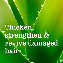 Load image into Gallery viewer, Maui Moisture Thickening and Volumising Aloe Vera and Bamboo Sulphate Free Shampoo 385ml