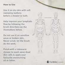 Load image into Gallery viewer, Hydrea London Body Brush - Exfoliating Dry Scrubber, Cellulite Remover, & Skin Exfoliator, Helps Improve Lymphatic Flow - 100% Vegan, FSC® Certified Beechwood, & Natural, Soft Cactus Bristle