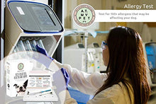 Load image into Gallery viewer, Canine Allergy Test Allergy - Dog- Household, Environmental Allergy & Food Sensitivity Test