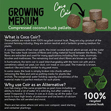 Load image into Gallery viewer, Butterfly Garden Grow Your Own Wild Flowers at Home Kit. Attract Butterflies with These Wild Flower Seeds in an Eco Grow Kit, 100% Recyclable and Made with 100% Recycled Materials