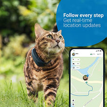 Load image into Gallery viewer, Tractive GPS CAT 4 (2022). Cat tracker. Follow every step in real-time. Unlimited Range. Activity Monitoring (w/ midnight blue collar attachment)
