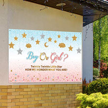 Load image into Gallery viewer, Pink and Blue Gender Reveal Decorations Girl or Boy Pregnancy Announcement Banner Gender Surprise Backdrop Background Twinkle Twinkle Little Star for Baby Shower, 72.8 x 43.3 Inch
