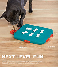 Load image into Gallery viewer, Nina Ottosson by Outward Hound Dog Casino Interactive Treat Puzzle Dog Toy, Advanced
