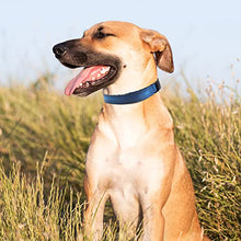 Load image into Gallery viewer, Reflective Dog Collars for Small Medium Large Dogs, Adjustable Nylon Dog Collar with Soft Neoprene Padding Breathable Durable Pet Collar, Navy Blue, M