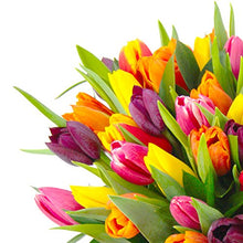 Load image into Gallery viewer, Clare Florist Mixed Tulips Fresh Flower Bouquet - Charming Display of Tulips, Perfect for All Occasions