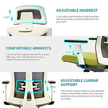 Load image into Gallery viewer, Amazon Brand - Umi Ergonomic Office Chair, Mesh Computer Chair with Adjustable Headrest, Lumbar Support, PU Armrests and Padded Seat Cushion, 360° Swivel Executive Chair for Home, Task, Office(Green)