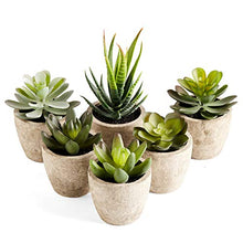 Load image into Gallery viewer, PRIMAISON Artificial Succulents Plants Potted Set-Decorative Fake Succulent Plant Faux Plastic Plant Indoor &Outdoor for House Office Desk Bathroom Kitchen DIY Decor Gift Set of 6