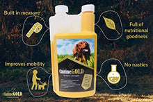 Load image into Gallery viewer, Canine Gold - Hip and Joint Care Supplement For Dogs - 100% Natural Ingredients (500ml)