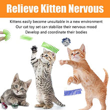 Load image into Gallery viewer, 12 Pcs Cat Toys for Indoor Cats Kitten Plush Catnip Toy Cat Teeth Cleaning Toys Interactive Cat Feather Teaser Wand Spring Toy