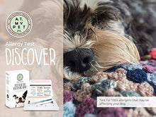Load image into Gallery viewer, Canine Allergy Test Allergy - Dog- Household, Environmental Allergy & Food Sensitivity Test