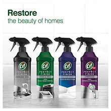 Load image into Gallery viewer, Cif Perfect Finish Oven and Grill 100% Grease Removal Specialist Cleaner Spray for Everyday Cleaning, 435ml