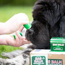 Load image into Gallery viewer, Vermont's Original Bag Balm | Balm Stick with Aloe Vera - Pack of 3