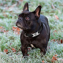 Load image into Gallery viewer, TagMe Reflective Nylon Dog Collars, Adjustable Classic Dog Collar with Quick Release Buckle for Small Dogs, Black, 2.0 cm Width