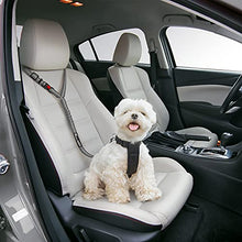 Load image into Gallery viewer, Headrest Dog Car Seat Belt Adjustable with Elastic Bungee Buffer Durable Headrest Pet Seat Belt Dog Car Safety Harness Restraint (Grey)