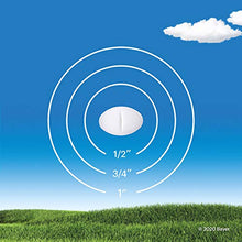 Load image into Gallery viewer, Claritin Allergy Medicine, 24-Hour Non-Drowsy Relief 10 mg, 50 Tablets