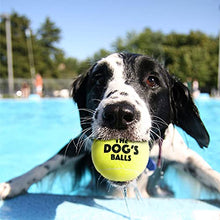 Load image into Gallery viewer, The Dog's Balls, Dog Tennis Balls, 12-Pack Yellow Dog Toy, Strong Dog & Puppy Tennis Ball