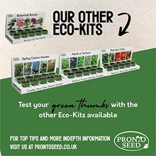 Load image into Gallery viewer, Butterfly Garden Grow Your Own Wild Flowers at Home Kit. Attract Butterflies with These Wild Flower Seeds in an Eco Grow Kit, 100% Recyclable and Made with 100% Recycled Materials