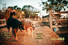 Load image into Gallery viewer, Canine Gold - Hip and Joint Care Supplement For Dogs - 100% Natural Ingredients (500ml)