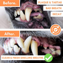 Load image into Gallery viewer, Finger Toothbrush for Dogs | Remove Tartar & Stop Bad Breath | 5 Pack for Easy Dog Teeth Cleaning | Silicone Dog Toothbrush for Total Dental Care